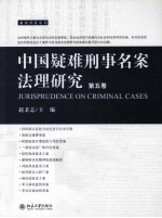 中国疑难刑事名案法理研究 第5卷