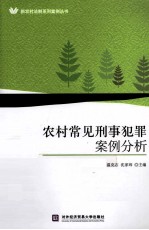 农村常见刑事犯罪案例分析