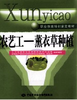 农艺工 薰衣草种植