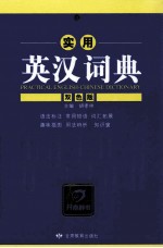 实用英汉词典 双色版