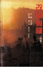 改革纵横 续集