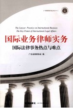 国际业务律师实务 国际法律事务热点与难点