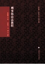 刑事诉讼法教程