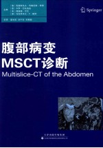 腹部病变MSCT诊断
