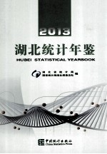 湖北统计年鉴 2013