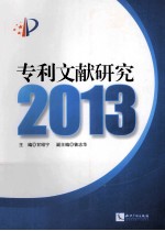 专利文献研究 2013