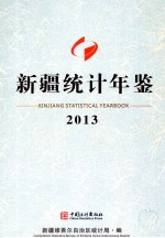 新疆统计年鉴 2013
