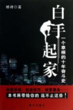 白手起家 一个草根的十年奋斗史