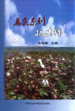 慈杂系列抗虫棉