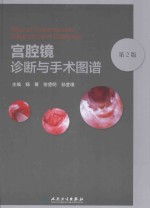 宫腔镜诊断与手术图谱