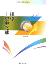 排球 空中飞球