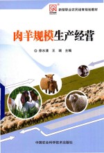肉羊规模生产经营
