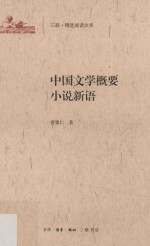 三联·精选阅读文库 中国文学概要 小说新语