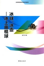 冰球、冰壶 冰上的曲棍球