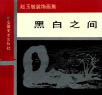 黑白之间:赵玉敏装饰画集