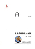 中国果树科学与实践 杏