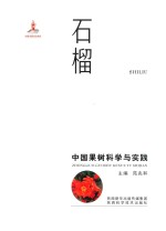 中国果树科学与实践 石榴