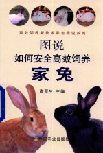 高效饲养新技术彩色图说系列 图说如何安全高效饲养家兔