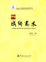中国城乡乔木