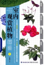 室内观赏植物图鉴 1