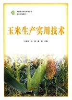 玉米生产实用技术