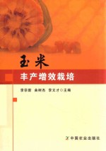 玉米丰产增效栽培