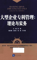 大型企业专利管理 理论与实务