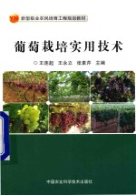 葡萄栽培实用技术