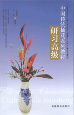 中国传统插花系列教程 研习高级