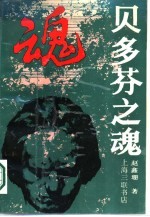 贝多芬之魂 德国古典“文化群落”中的贝多芬音乐
