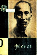 胡伯伯