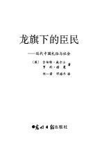 龙旗下的臣民 近代中国礼俗与社会