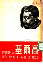 高尔基 传记小说