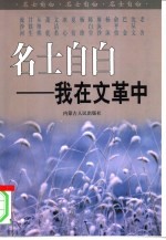名士自白 我在文革中 上