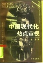 中国现代化热点审视