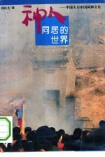 神人同居的世界 中国人与中国祠神文化