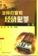 怎样打官司 经济犯罪分册