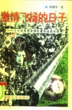 激情飞扬的日子 36位世界足球巨星命运启示录