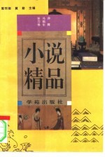 小说精品