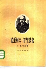 诺维柯夫-普里波依