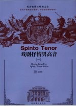 戏剧抒情男高音 1