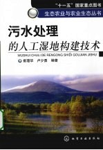污水处理的人工湿地构建技术