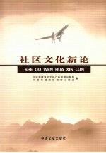 社区文化新论