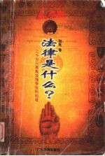 法律是什么? 二十世纪英美法理学批判阅读