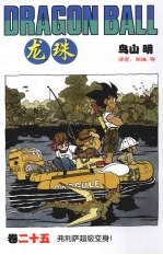 龙珠 25