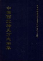 中国西北稀见方志续集 3