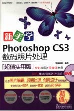 新手学Photoshop CS3数码照片处理(超值实用版)