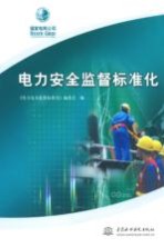 电力安全监督标准化