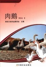 肉鹅