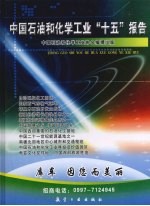 中国石油和化学工业“十五”报告